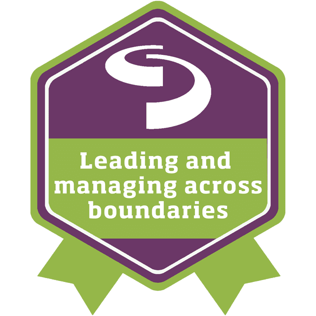 #5 Leading and managing across boundaries