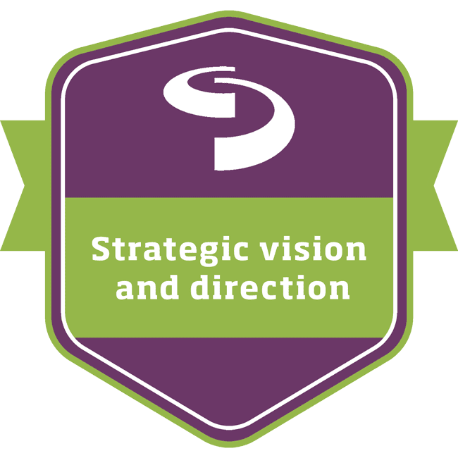 #9 Strategic vision and direction