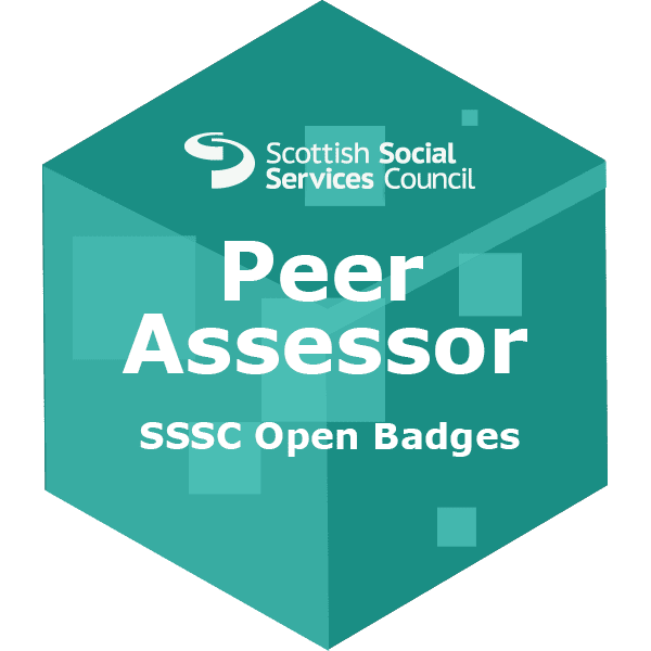 3. Peer assessor