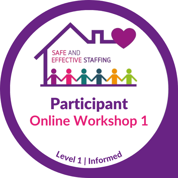 CI SES online workshop #1 participant