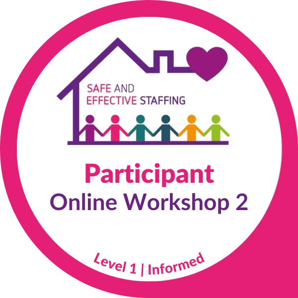 CI SES online workshop #2 participant